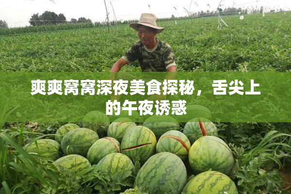 爽爽窝窝深夜美食探秘，舌尖上的午夜诱惑