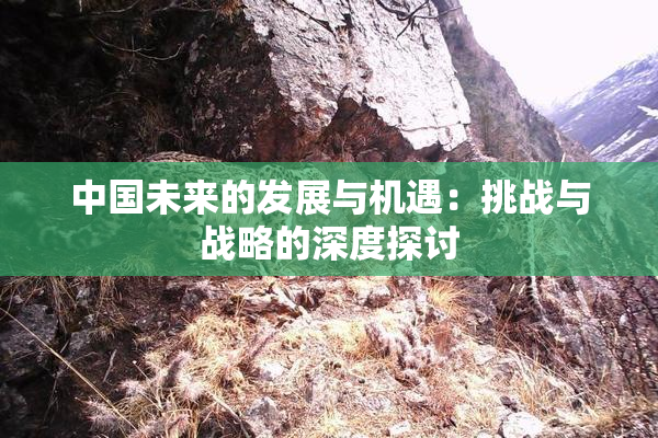 中国未来的发展与机遇：挑战与战略的深度探讨