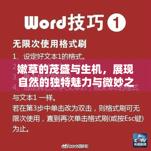 嫩草的茂盛与生机，展现自然的独特魅力与微妙之美