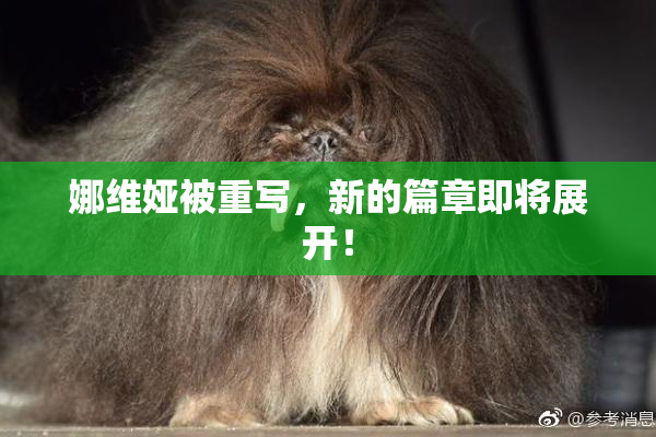 娜维娅被重写，新的篇章即将展开！