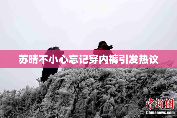 苏晴不小心忘记穿内裤引发热议