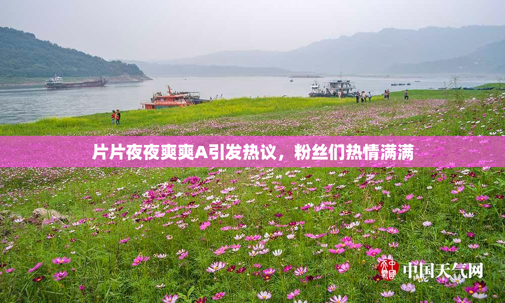 片片夜夜爽爽A引发热议，粉丝们热情满满
