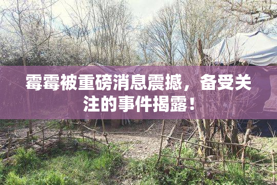 霉霉被重磅消息震撼，备受关注的事件揭露！