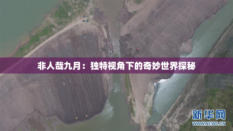 非人哉九月：独特视角下的奇妙世界探秘