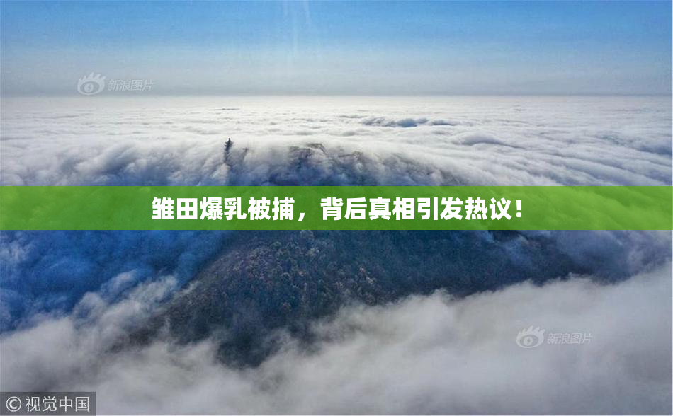 雏田爆乳被捕，背后真相引发热议！
