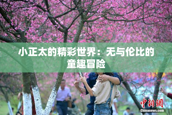 小正太的精彩世界：无与伦比的童趣冒险