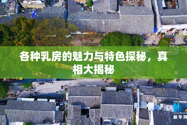 各种乳房的魅力与特色探秘，真相大揭秘