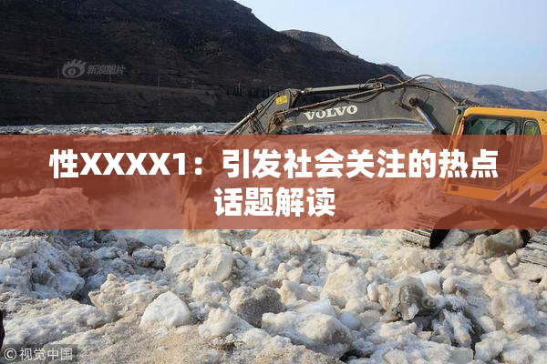 性XXXX1：引发社会关注的热点话题解读