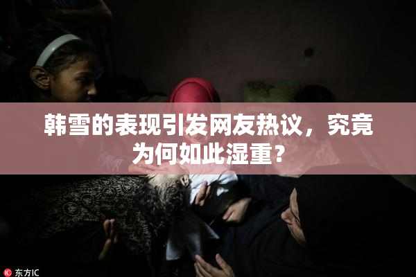 韩雪的表现引发网友热议，究竟为何如此湿重？