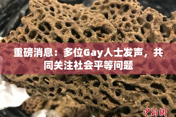 重磅消息：多位Gay人士发声，共同关注社会平等问题