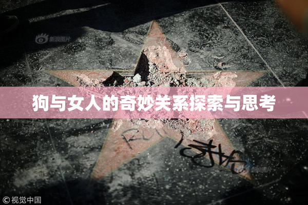 狗与女人的奇妙关系探索与思考