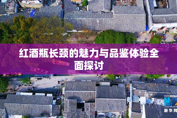 红酒瓶长颈的魅力与品鉴体验全面探讨