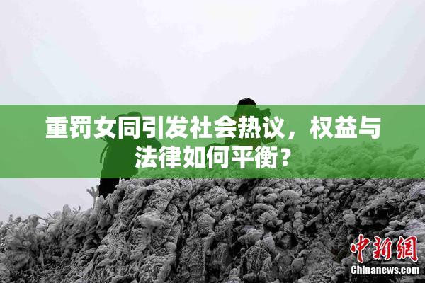 重罚女同引发社会热议，权益与法律如何平衡？
