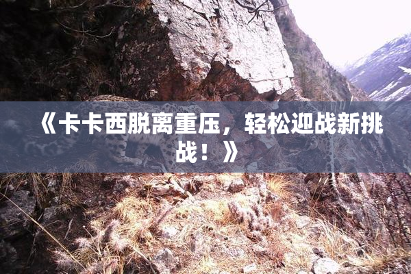 《卡卡西脱离重压，轻松迎战新挑战！》
