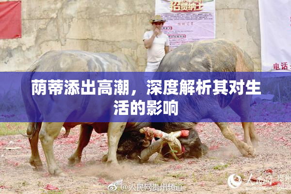 荫蒂添出高潮，深度解析其对生活的影响