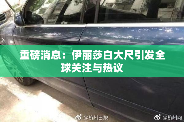 重磅消息：伊丽莎白大尺引发全球关注与热议