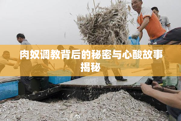 肉奴调教背后的秘密与心酸故事揭秘
