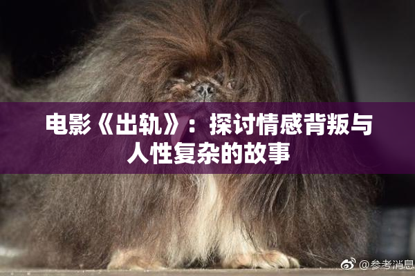 电影《出轨》：探讨情感背叛与人性复杂的故事