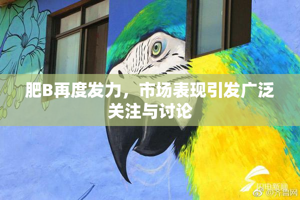 肥B再度发力，市场表现引发广泛关注与讨论