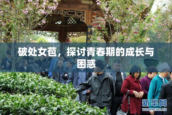 破处女苞，探讨青春期的成长与困惑