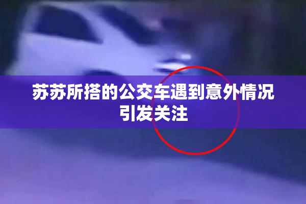 苏苏所搭的公交车遇到意外情况引发关注