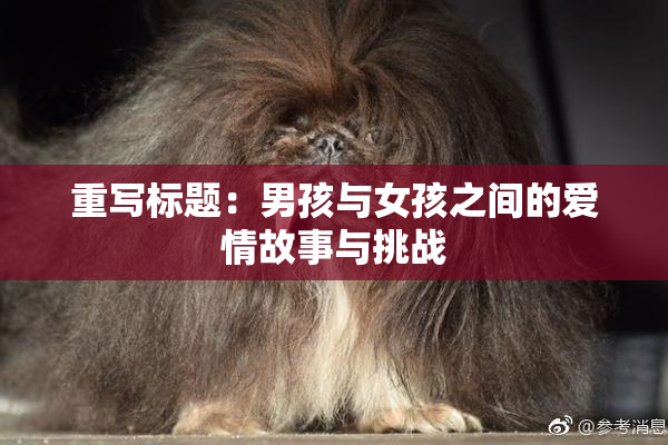 重写标题：男孩与女孩之间的爱情故事与挑战