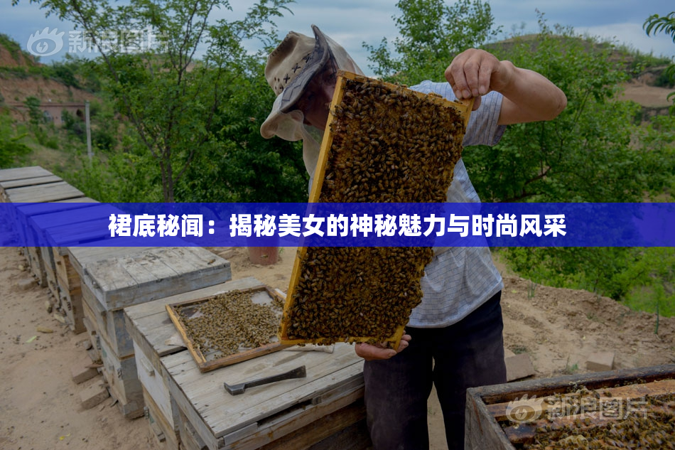 裙底秘闻：揭秘美女的神秘魅力与时尚风采