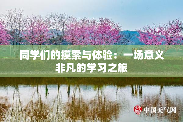 同学们的摸索与体验：一场意义非凡的学习之旅