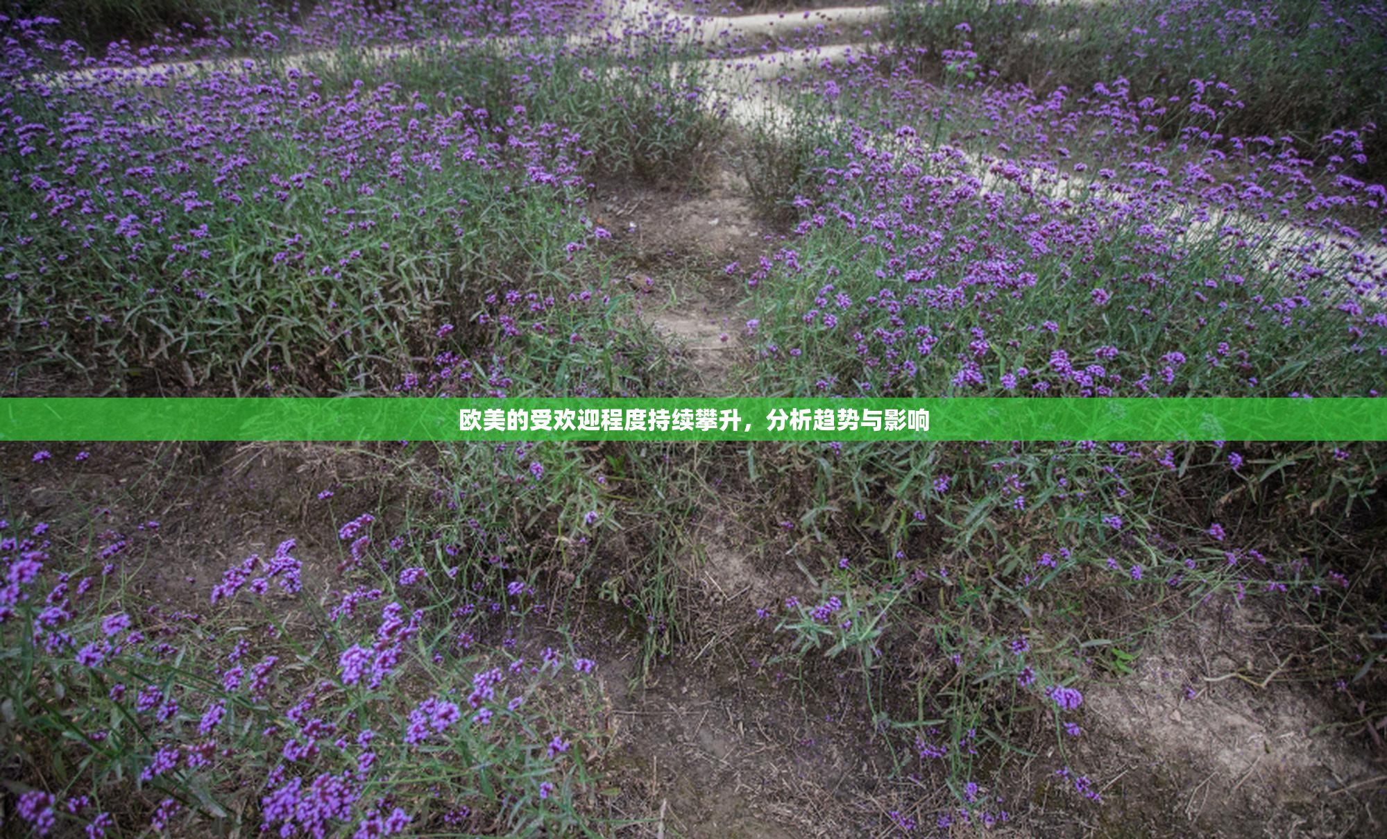 欧美的受欢迎程度持续攀升，分析趋势与影响