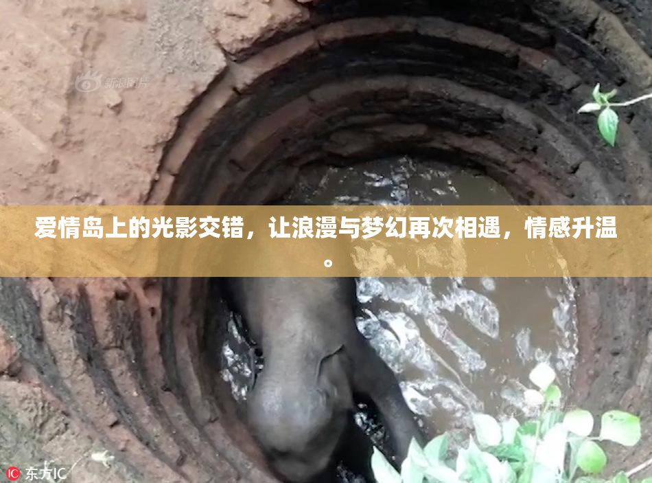 爱情岛上的光影交错，让浪漫与梦幻再次相遇，情感升温。
