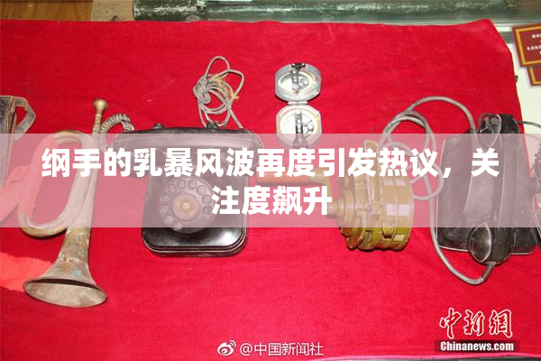 纲手的乳暴风波再度引发热议，关注度飙升
