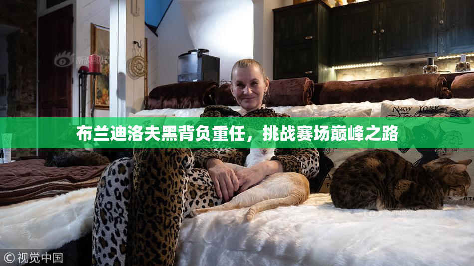 布兰迪洛夫黑背负重任，挑战赛场巅峰之路