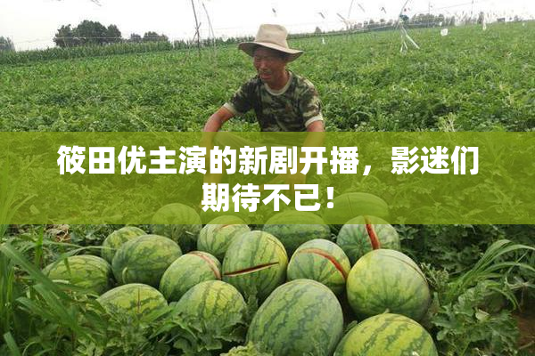 筱田优主演的新剧开播，影迷们期待不已！
