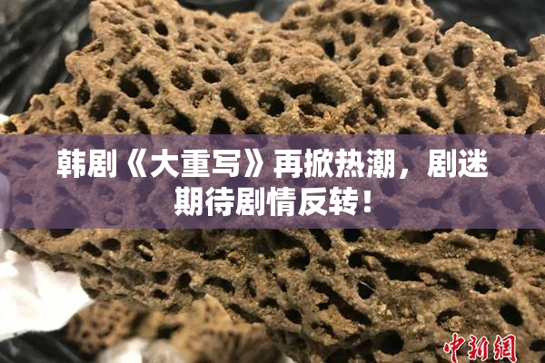 韩剧《大重写》再掀热潮，剧迷期待剧情反转！
