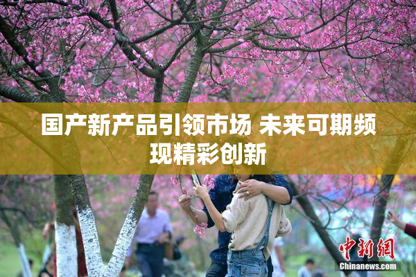 国产新产品引领市场 未来可期频现精彩创新