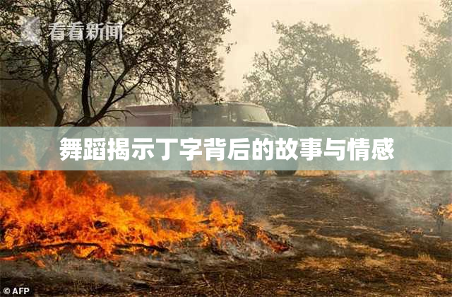 舞蹈揭示丁字背后的故事与情感