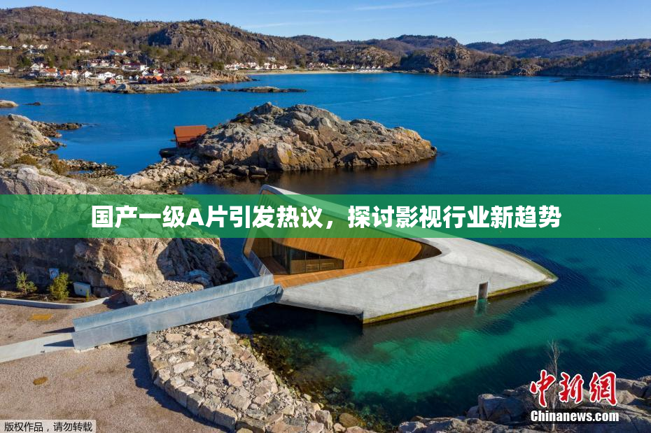 国产一级A片引发热议，探讨影视行业新趋势