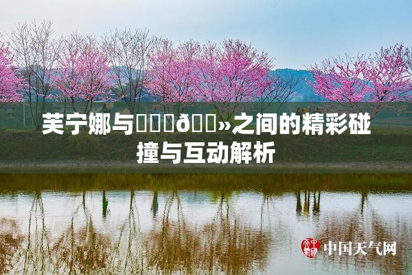 芙宁娜与❌‌‌🐻之间的精彩碰撞与互动解析