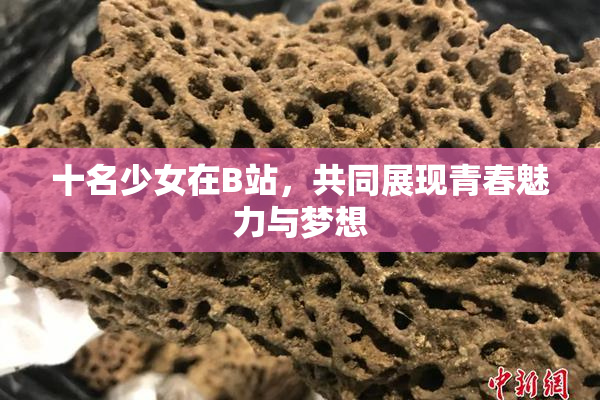 十名少女在B站，共同展现青春魅力与梦想