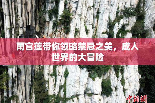雨宫莲带你领略禁忌之美，成人世界的大冒险