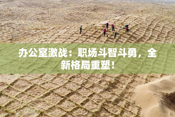 办公室激战：职场斗智斗勇，全新格局重塑！