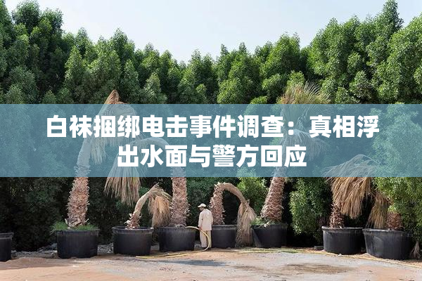 白袜捆绑电击事件调查：真相浮出水面与警方回应