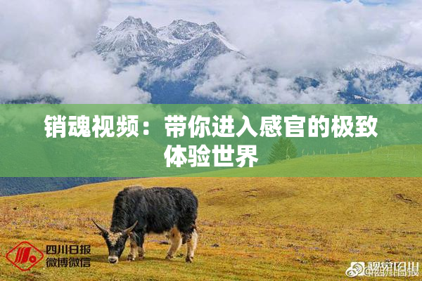 销魂视频：带你进入感官的极致体验世界