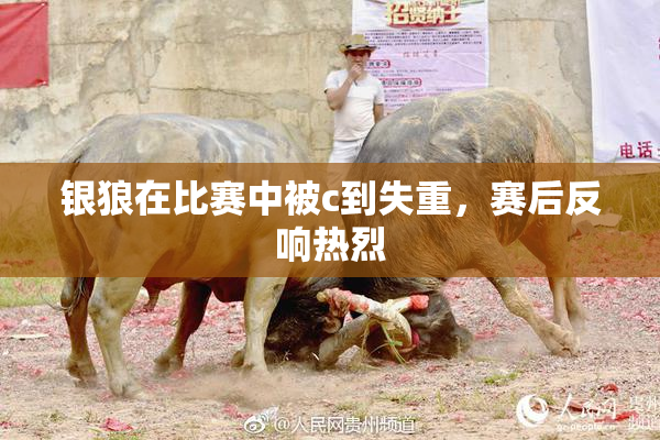 银狼在比赛中被c到失重，赛后反响热烈