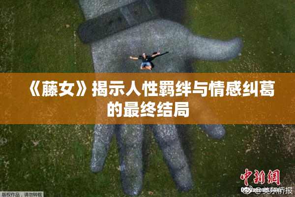 《藤女》揭示人性羁绊与情感纠葛的最终结局