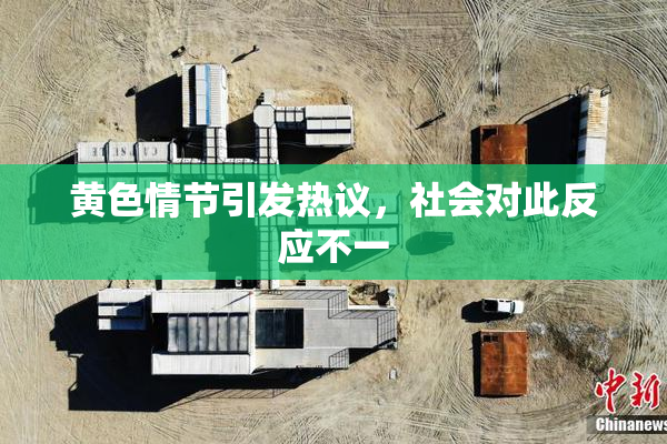 黄色情节引发热议，社会对此反应不一