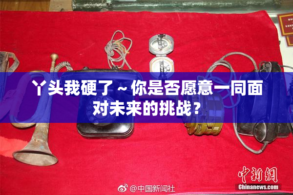 丫头我硬了～你是否愿意一同面对未来的挑战？