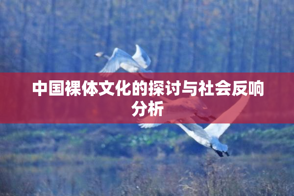 中国裸体文化的探讨与社会反响分析