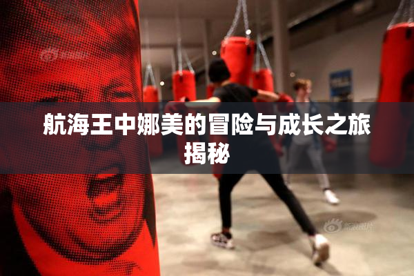 航海王中娜美的冒险与成长之旅揭秘