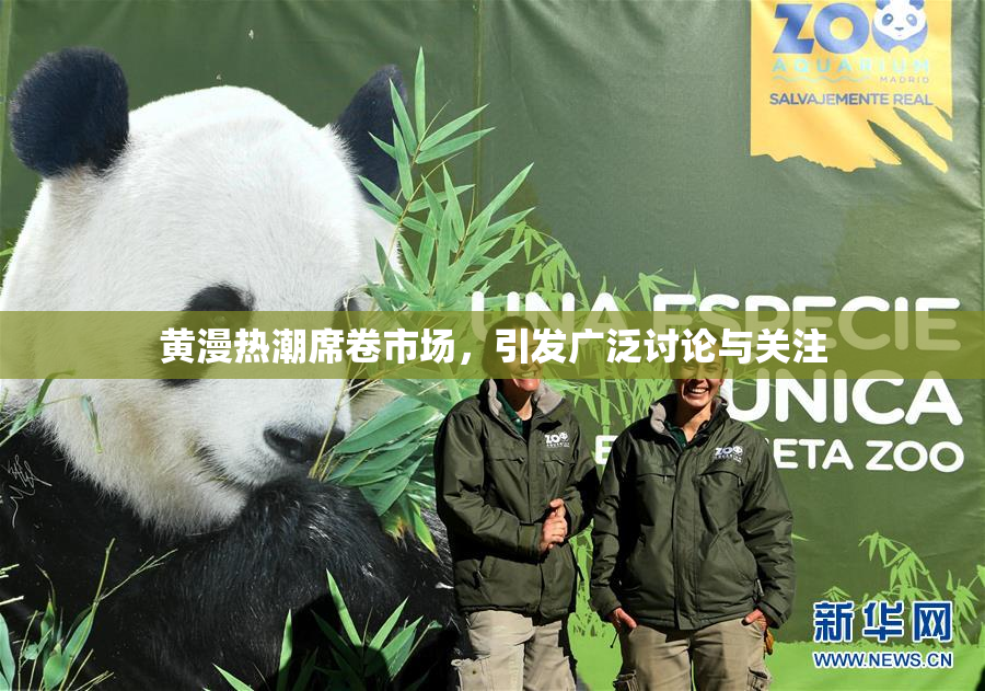 黄漫热潮席卷市场，引发广泛讨论与关注